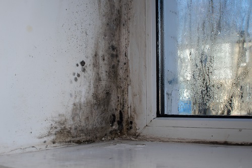 humidité des murs